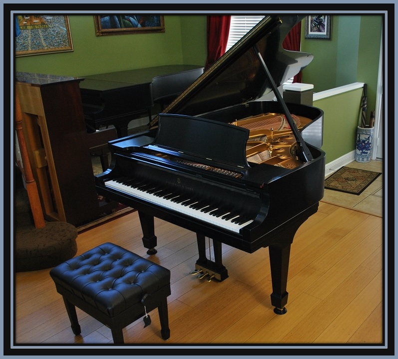 Picarzo Pianos Testimonial Photo